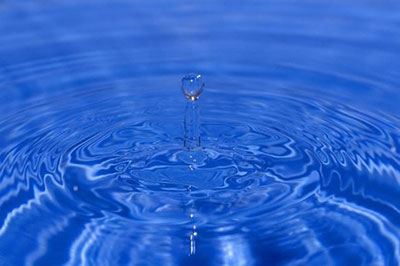 filtration aids